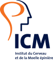 ICM